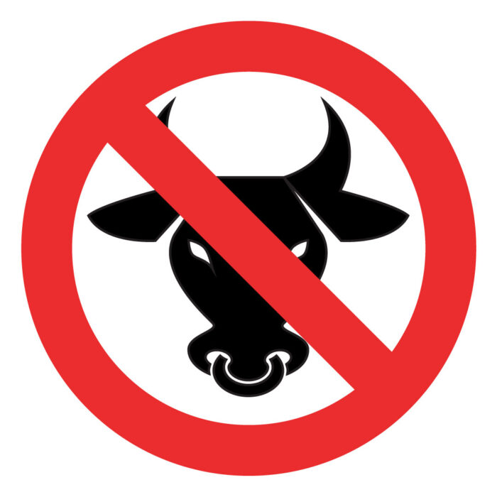 no bull shit